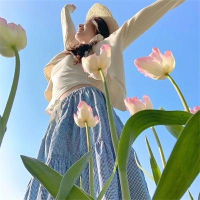 局处长讲政策